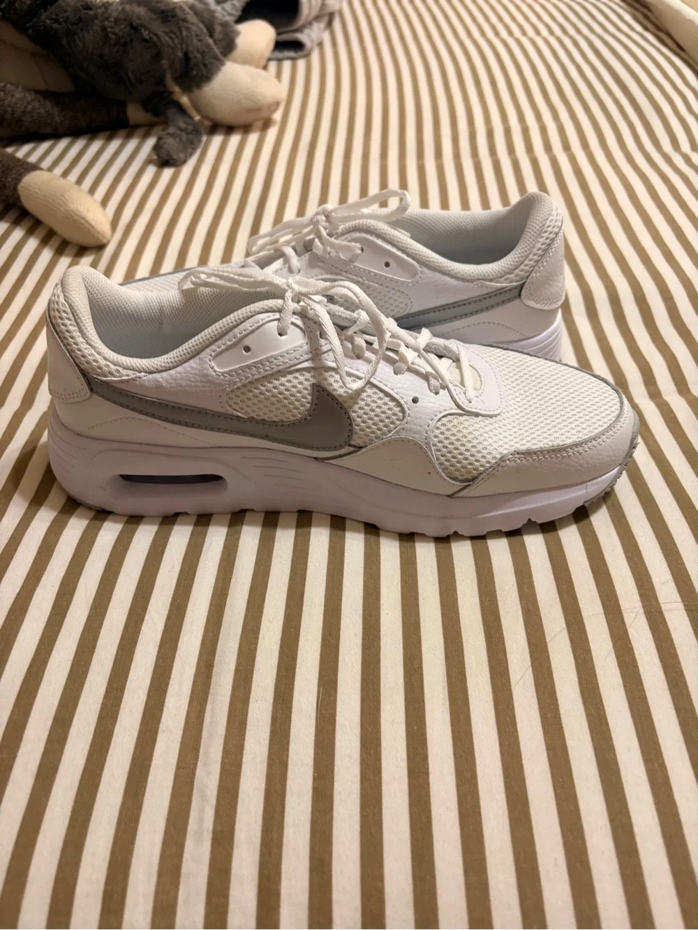 Nike Women’s White Sneakers with Silver Swoosh